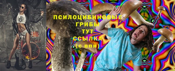 прущая мука Армянск