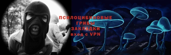 apvp Аркадак
